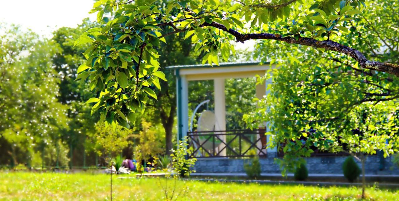 Villa Rokiti Exterior foto
